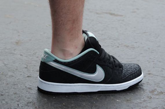 Skatepark Of Tampa Nike Sb Dunk Low 01