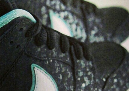 SPoT x Nike SB Dunk Low – Teaser 3