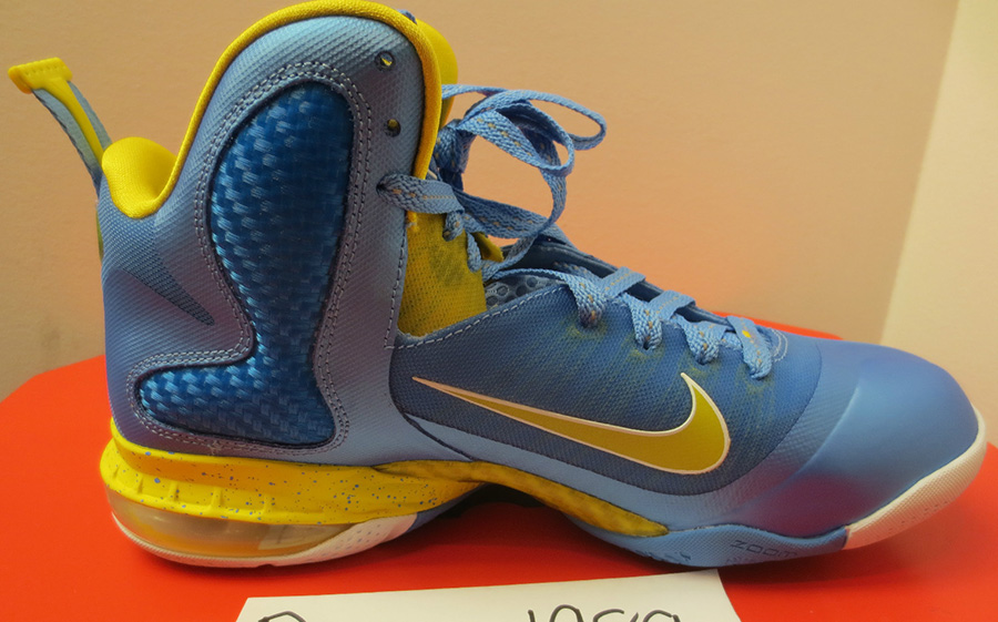 Swin Cash Nike Lebron 9 Pe 1