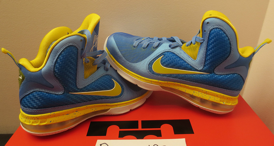 Swin Cash Nike Lebron 9 Pe 5