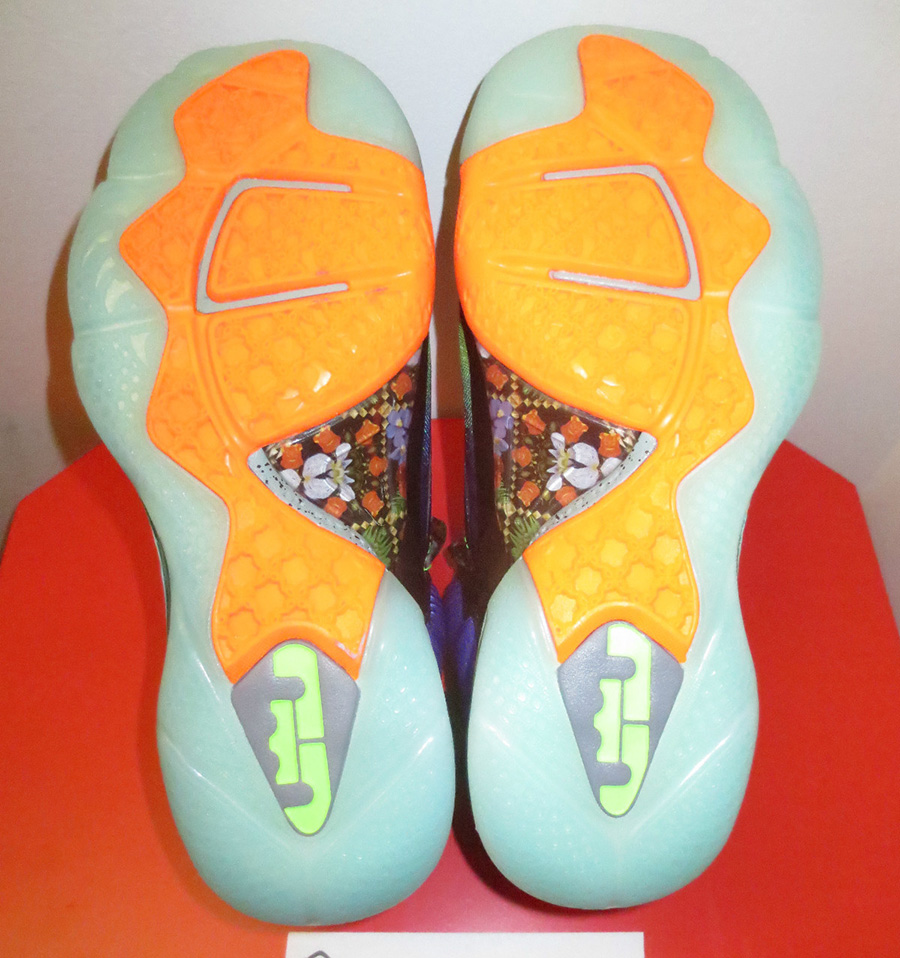 What The Lebron Nike Lebron 9 Unreleased 6