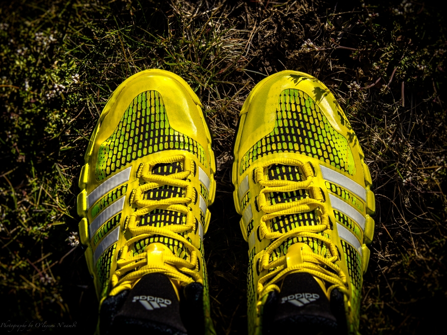 Adidas Crazyquick Upcoming Colorways 03