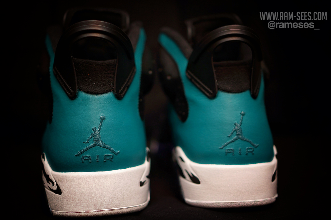 Air Jordan Vi Carnivore Customs 04