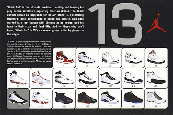 Air Jordan Xiii Retro Card 1007