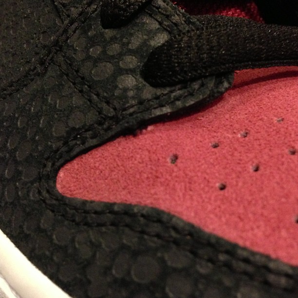 Brooklyn Projects Nike Sb Dunk Low Pro Walk Of Fame 02