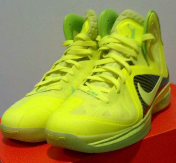 Dunkman Elite Samples 6