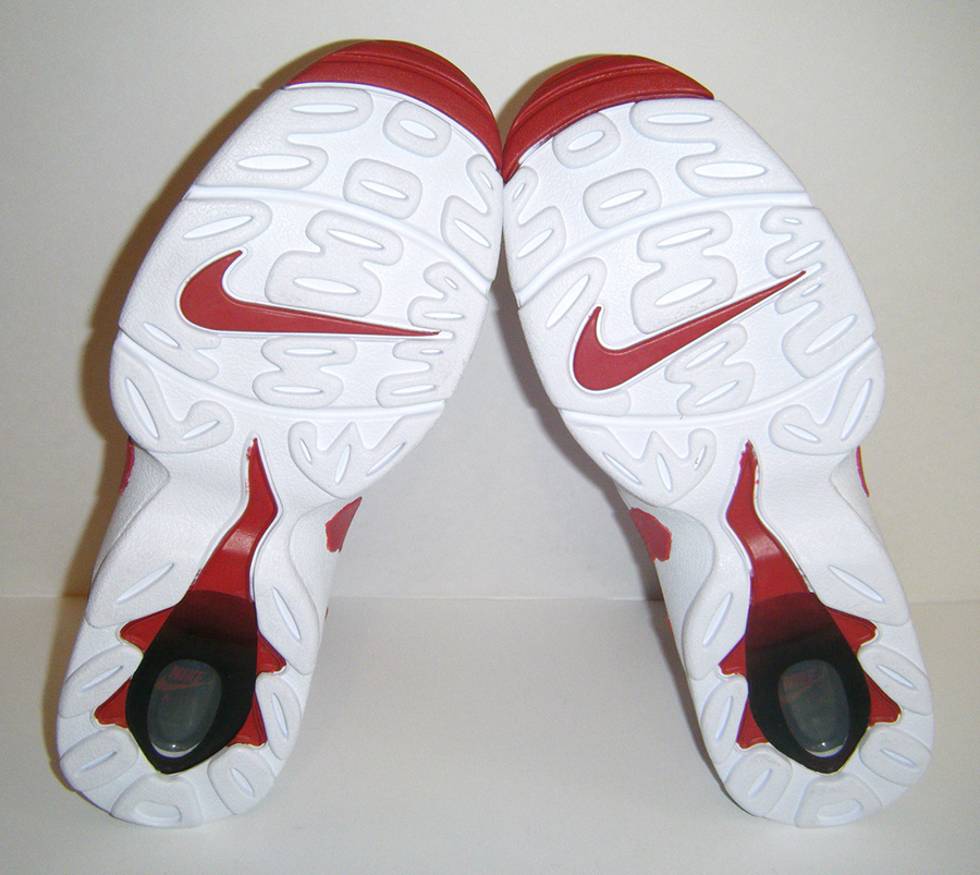 Nike Air Dt Max 96 Varsity Red White 2013 4