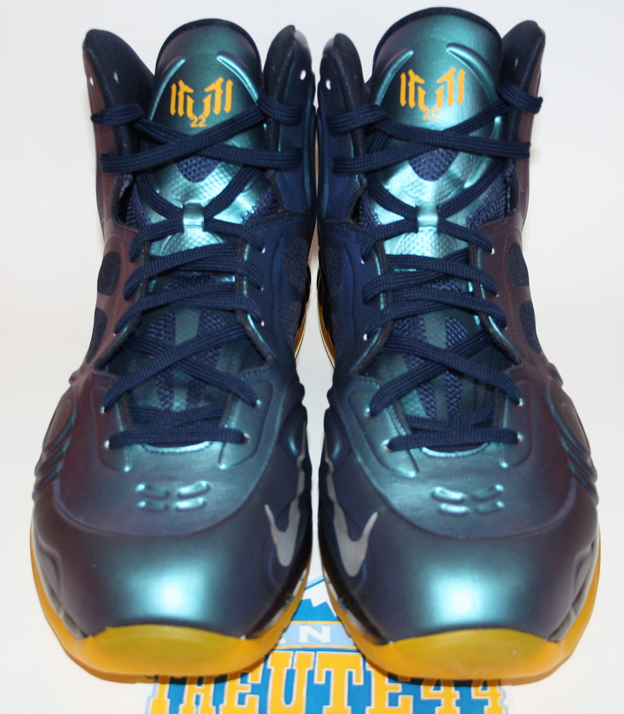 Nike Hyperposite Rudy Gay Grizzlies Pe 1