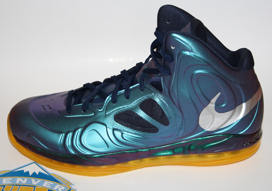 Nike Hyperposite Rudy Gay Grizzlies Pe 3