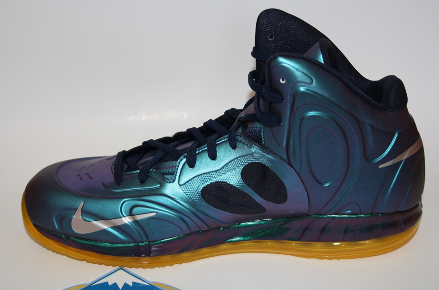 Nike Hyperposite Rudy Gay Grizzlies Pe 4