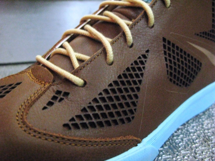 Nike Lebron X Lifestyle Nsw 06