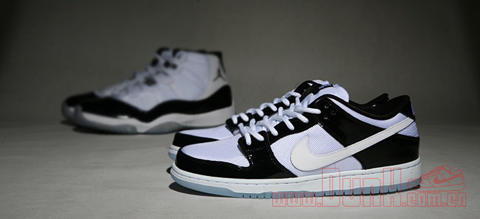 Nike Sb Dunk Low Concord Xi 07