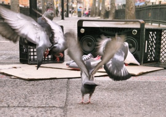 Staple x Puma Clyde “Pigeon” – Release Date