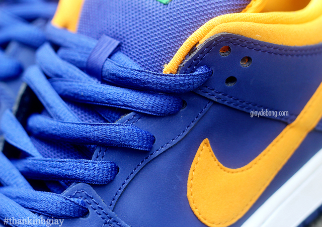 Nike Sb Dunk Low Purple Yellow Green 05