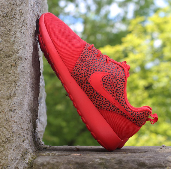 Safari Roshe Run Titolo 4