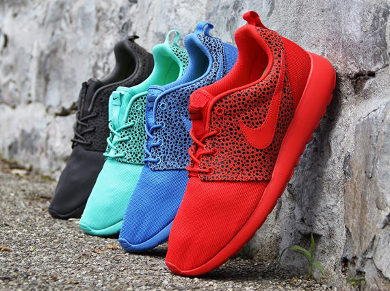 Safari Roshe Run Titolo 5