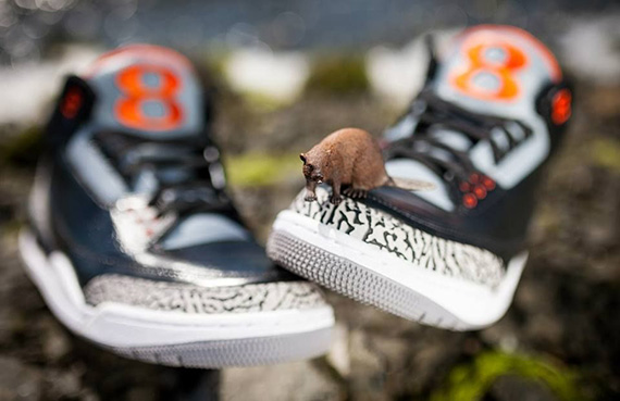 Air Jordan Iii Oregon State Customs 2