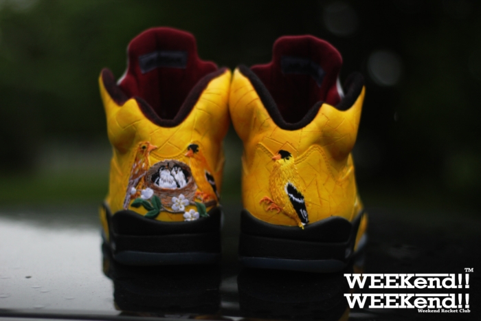 Air Jordan V Finch 03