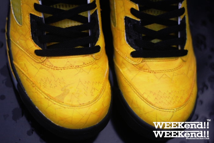 Air Jordan V Finch 04