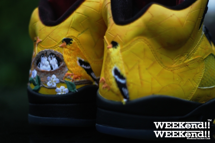 Air Jordan V Finch 05