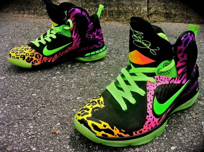 Nike LeBron 9 "Leopracheebra" by District Customs