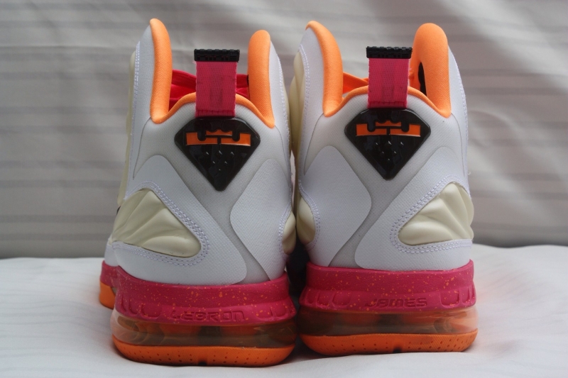 Nike Lebron 9 Floridians Home Pe Ebay 01