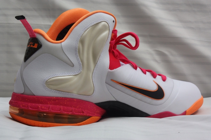 Nike Lebron 9 Floridians Home Pe Ebay 02