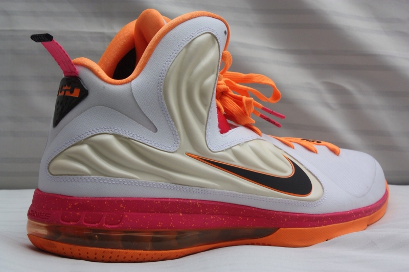 Nike Lebron 9 Floridians Home Pe Ebay 05