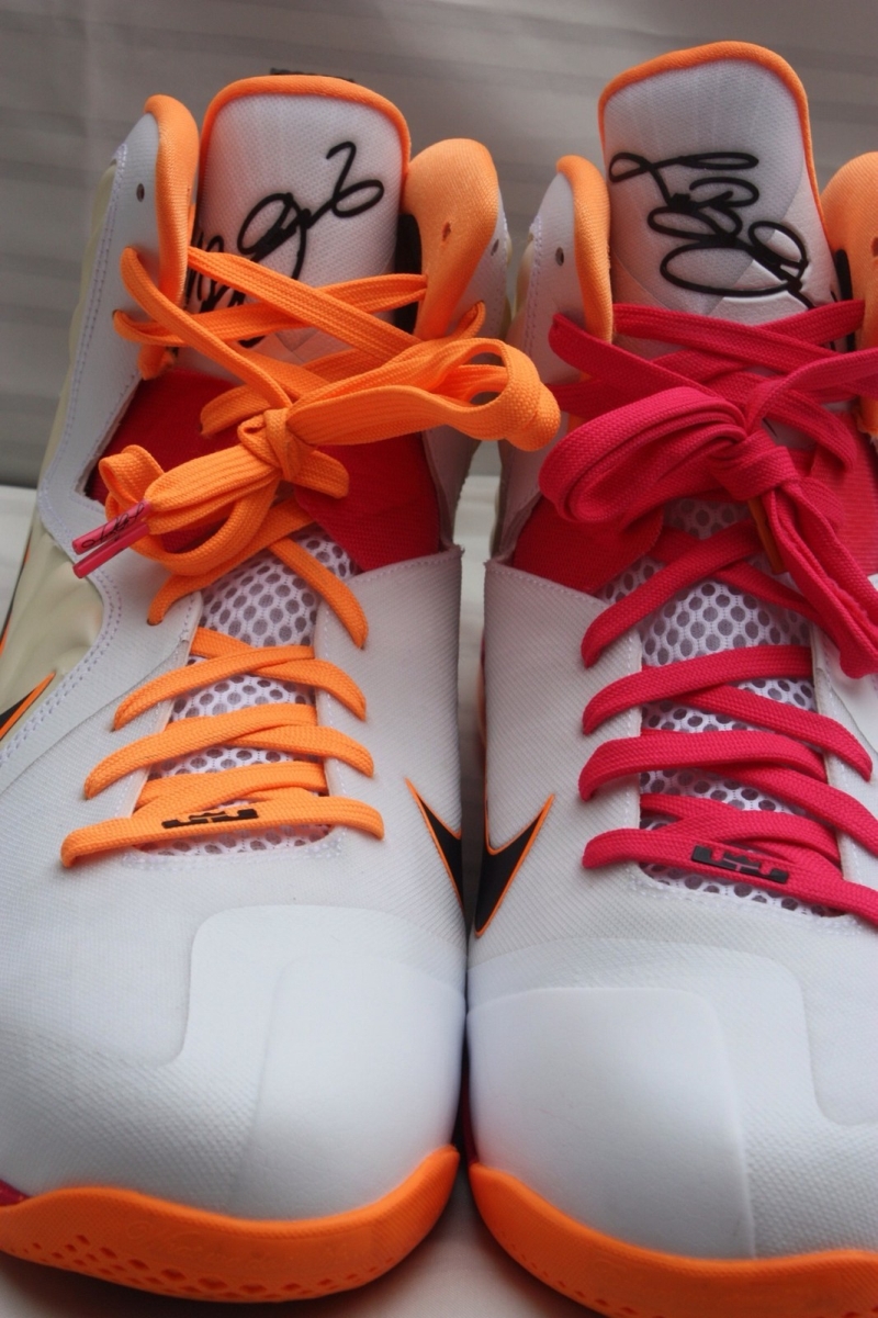 Nike Lebron 9 Floridians Home Pe Ebay 06