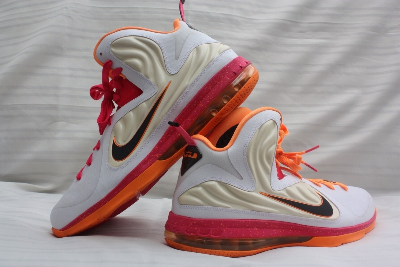 Nike Lebron 9 Floridians Home Pe Ebay 08