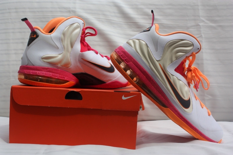 Nike Lebron 9 Floridians Home Pe Ebay 10