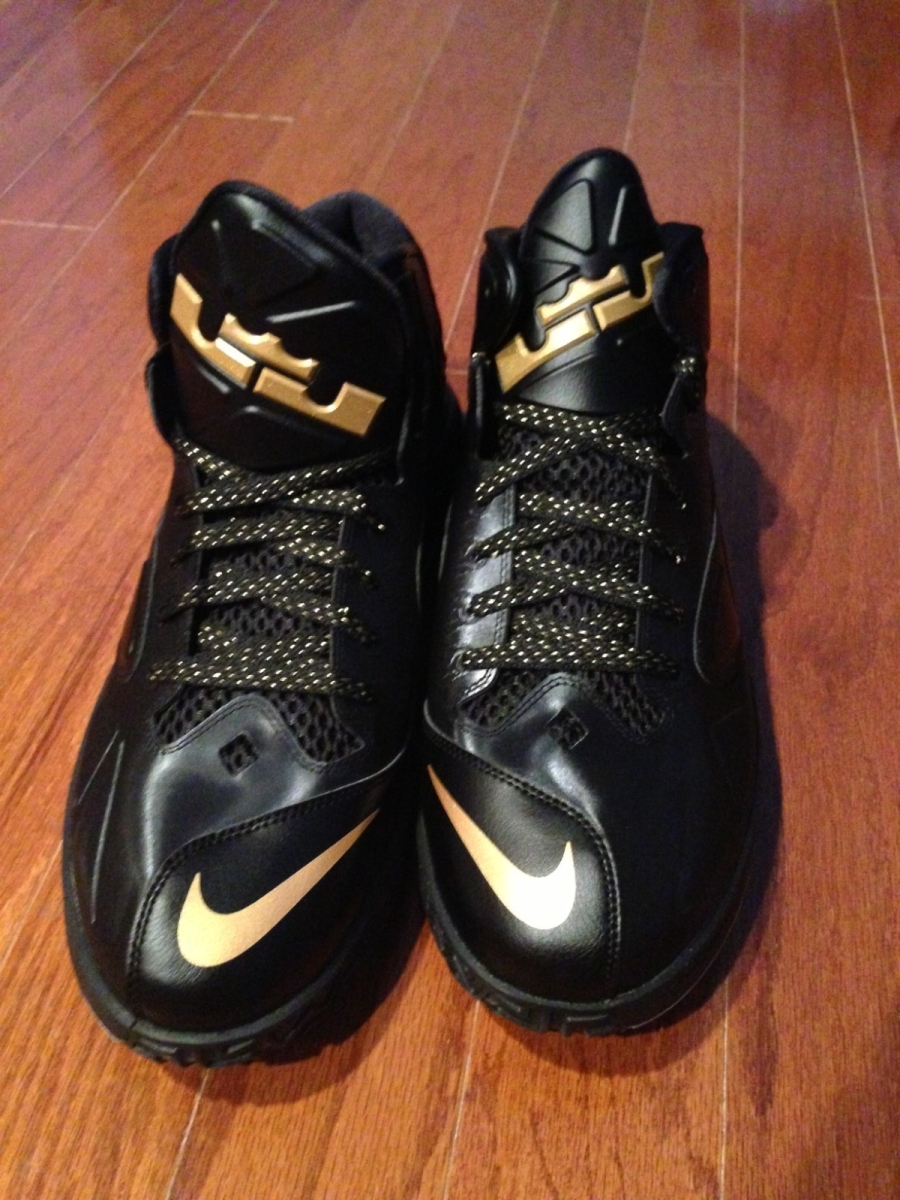 Nike Lebron Ambassdor V Mike Miller Finals Pes 13