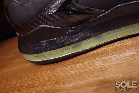 Nike Lebron X Project Lion Customs 08
