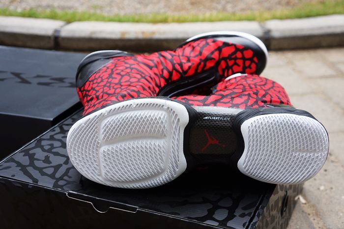 Air Jordan 28 Elephant Release Date 10