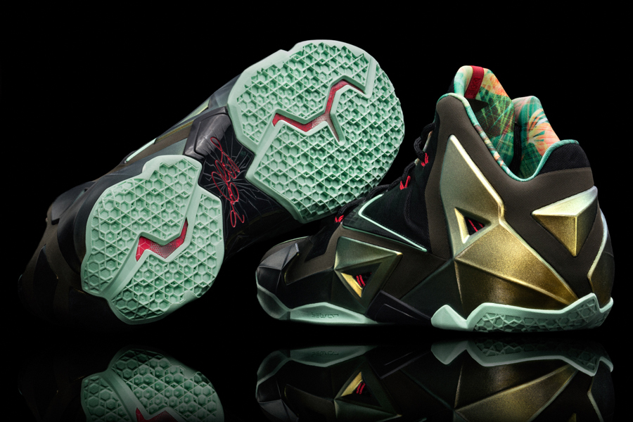 Kings Pride Nike Lebron 11 2