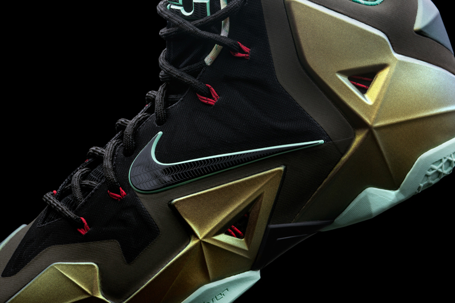 Kings Pride Nike Lebron 11 5