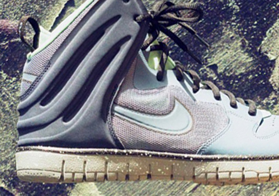 Nike Dunk Free "Arago"