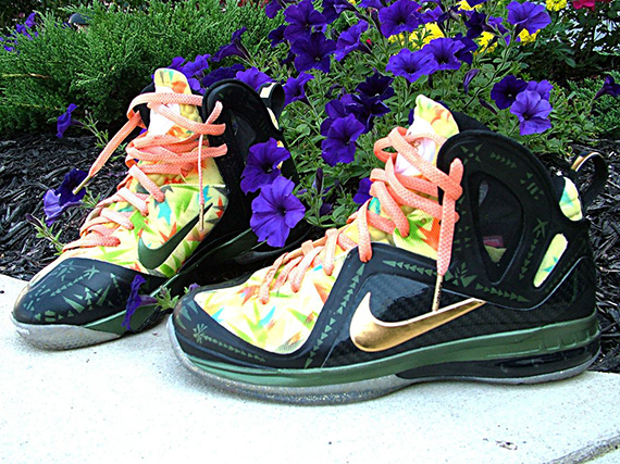 Nike Lebron 9 Elite 2x Champion Custom 2