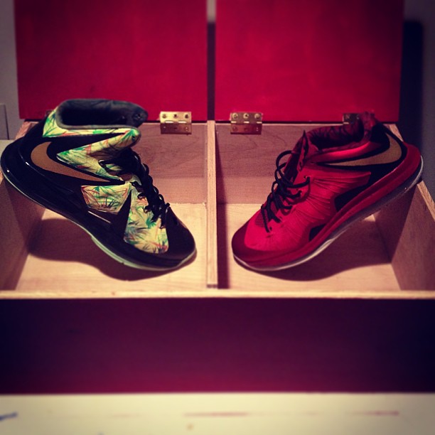 Nike Lebron X Reverse Championship Customs 03
