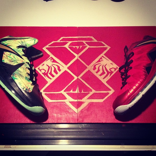 Nike Lebron X Reverse Championship Customs 04