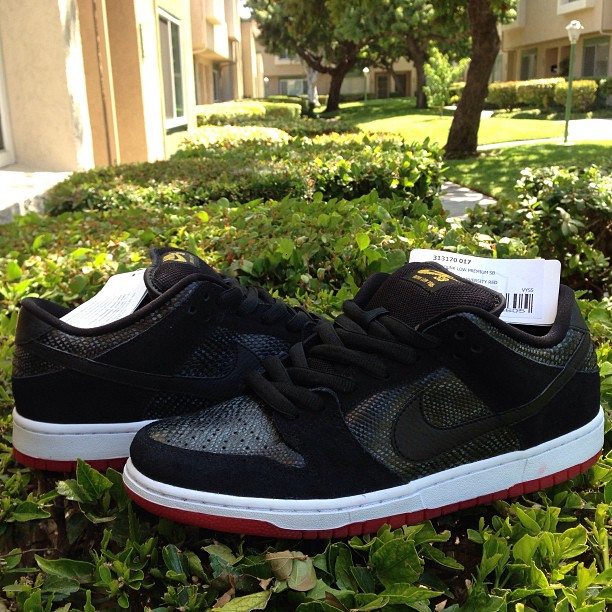 Nike Sb Dunk Low Snakeskin 01