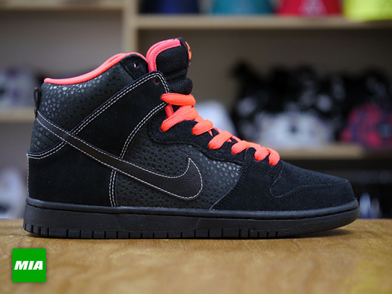 Nike Sb September 2013 General Release 5