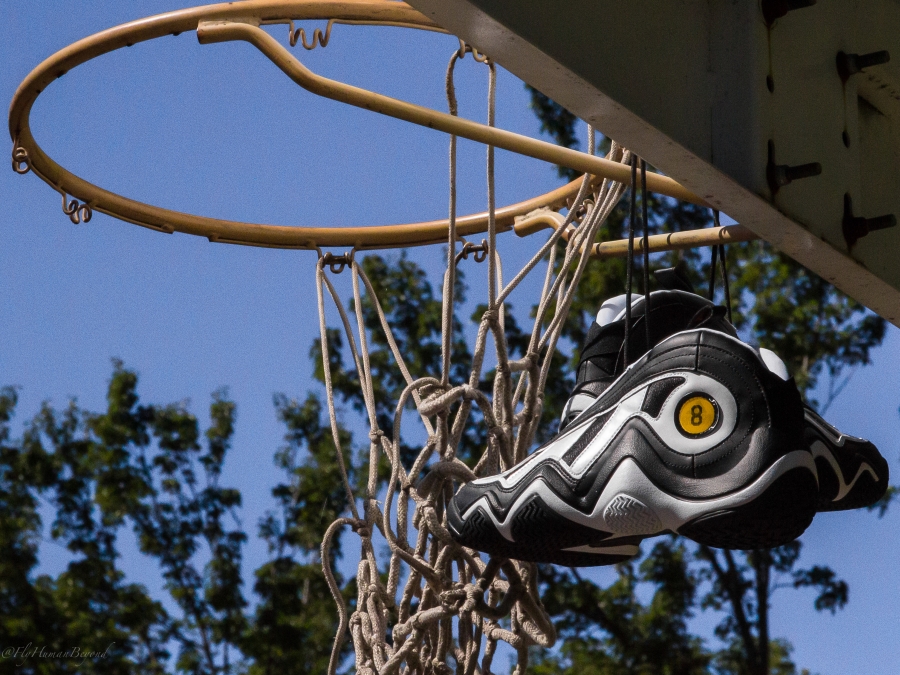 Adidas Crazy 97 Black White Gold 07