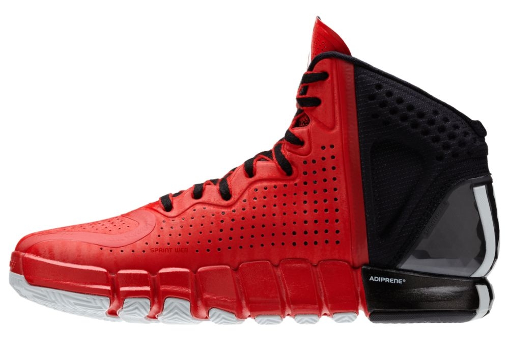 Adidas D Rose 4 Available For Pre Order 05