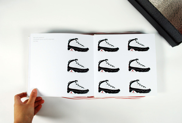 Air Jordan Counting Book 04