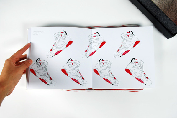 Air Jordan Counting Book 08