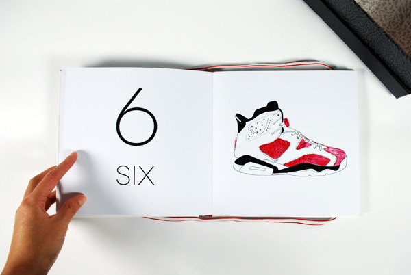 Air Jordan Counting Book 11