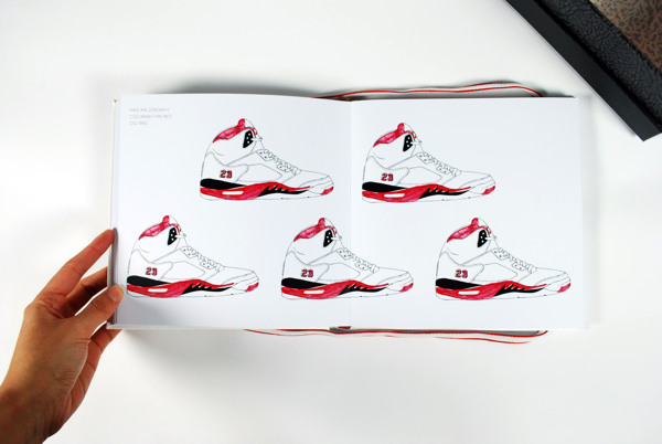 Air Jordan Counting Book 12