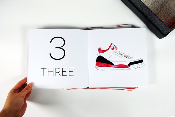 Air Jordan Counting Book 18