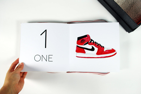 Air Jordan Counting Book 22